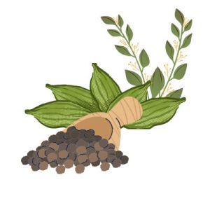 Grains & Seeds