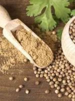 Coriander Powder