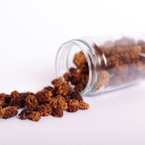 Dried Berries