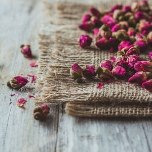 Dried Rose