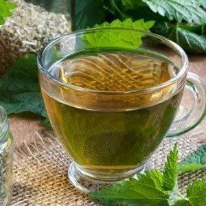 Nettle Tea