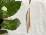 Bamboo Straw