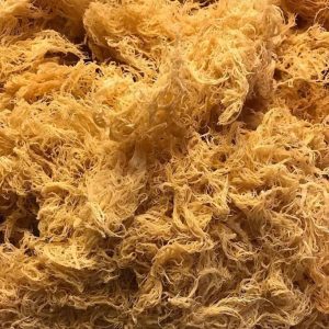 Wildcrafted Sea Moss
