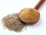 Cumin Powder