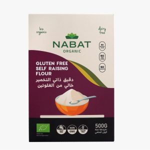 Gluten Free Self Rising Flour