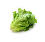 Organic Lettuce