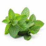 Organic Mint Leaves